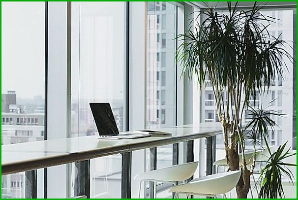 Office worker at desk